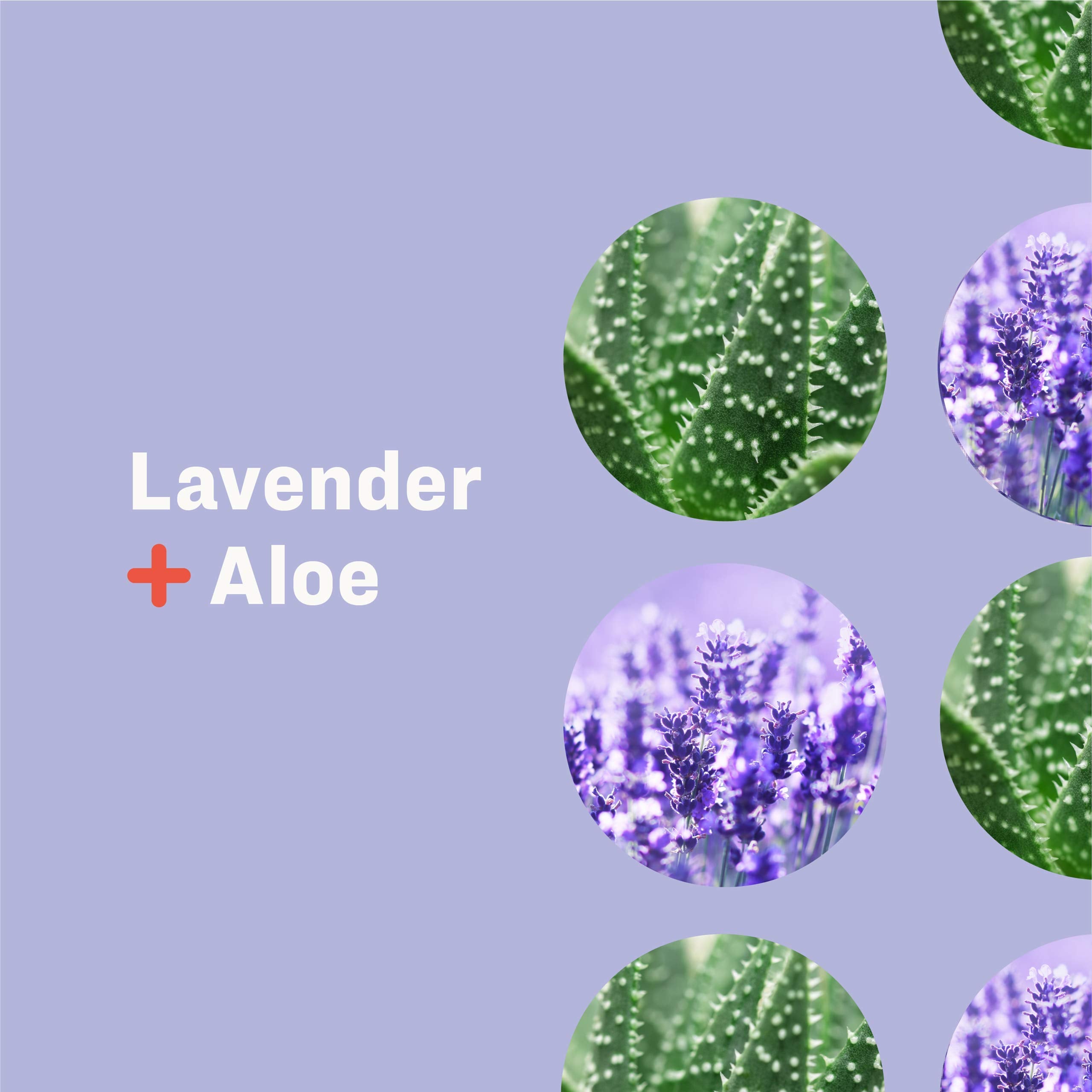 Everyone for Every Body Hand Sanitizer Spray, 2 Ounce, 6 Count Lavender and Aloe 12 Fl Oz