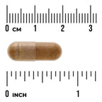Actiponin AMP-K Stimulator