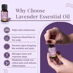 Satthwa Organic Lavender Essential Oil - Therapeutic Grade - 15ml - Calming Floral Scent, Promotes Relaxation, Soothes Skin Irri
