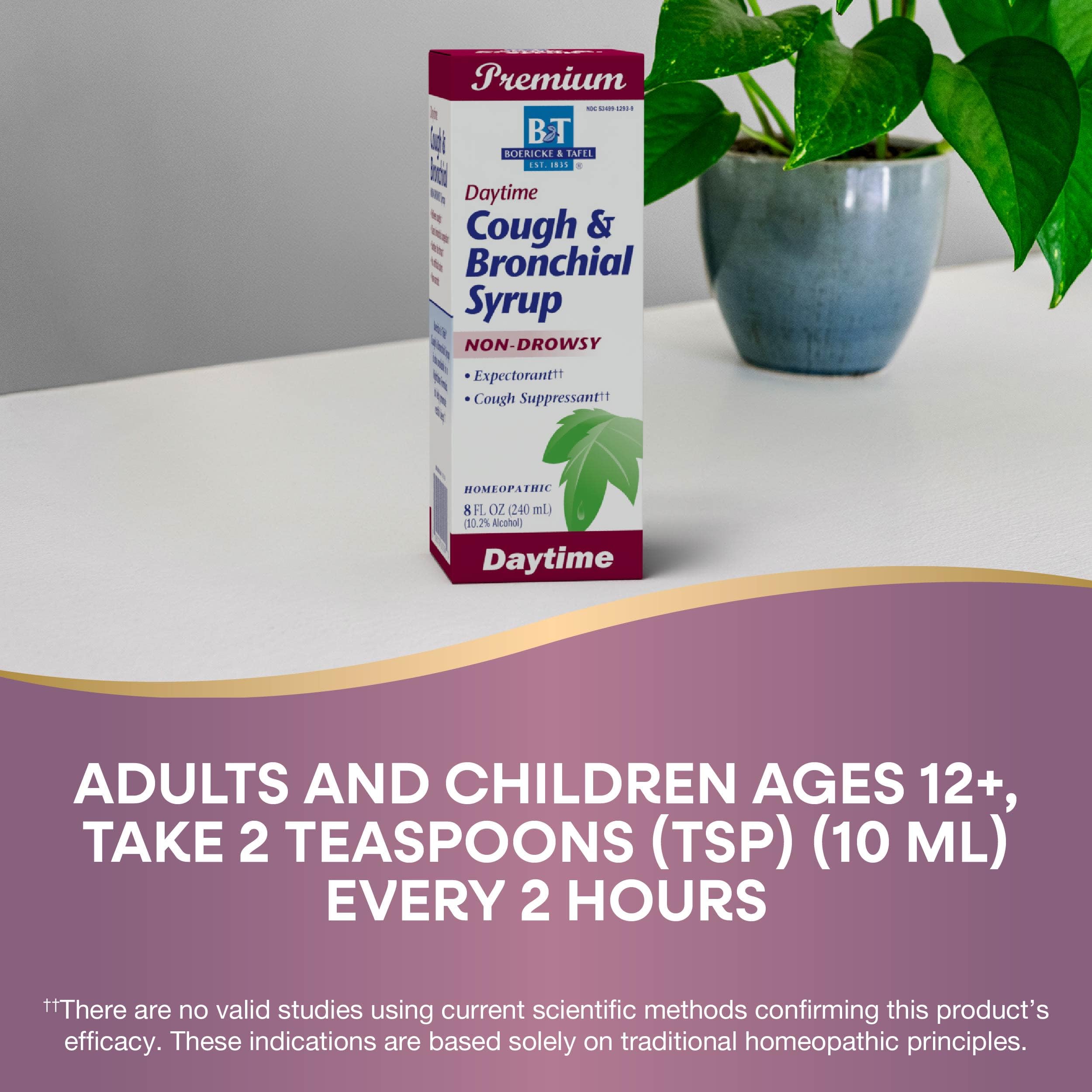 Natures Way Boericke & Tafel Daytime Cough & Bronchial Syrup, Cough Suppressant & Expectorant, Non-Drowsy, 8 Fl. Oz