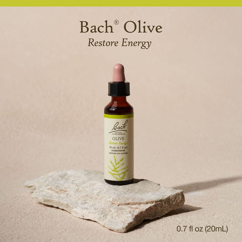 Bach Original Flower Remedies, Olive for Energy, Natural Homeopathic Flower Essence, Holistic Wellness and Stress Relief, Vegan,