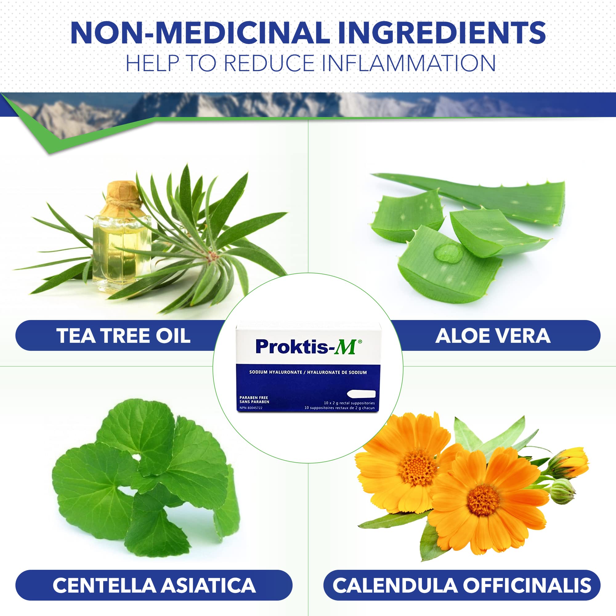 PROKTIS-M, Natural, Non-Steroidal Rectal Suppositories, with Hyaluronic Acid, for Healing of Anus and Rectum, in Conditions Such