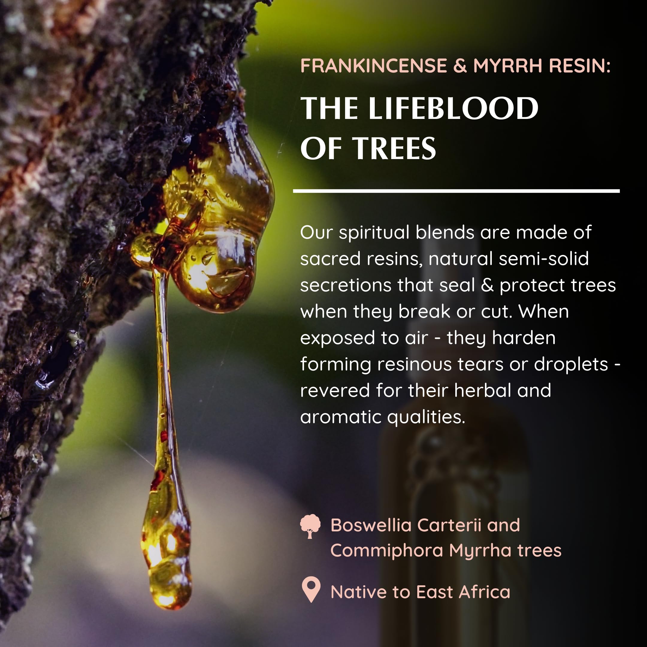 Aromafume Frankincense & Myrrha Natural Resin Mist Spray 100 ml / 3.3oz | Ideal for deep Relaxation, Spirituality & Rituals | Ma