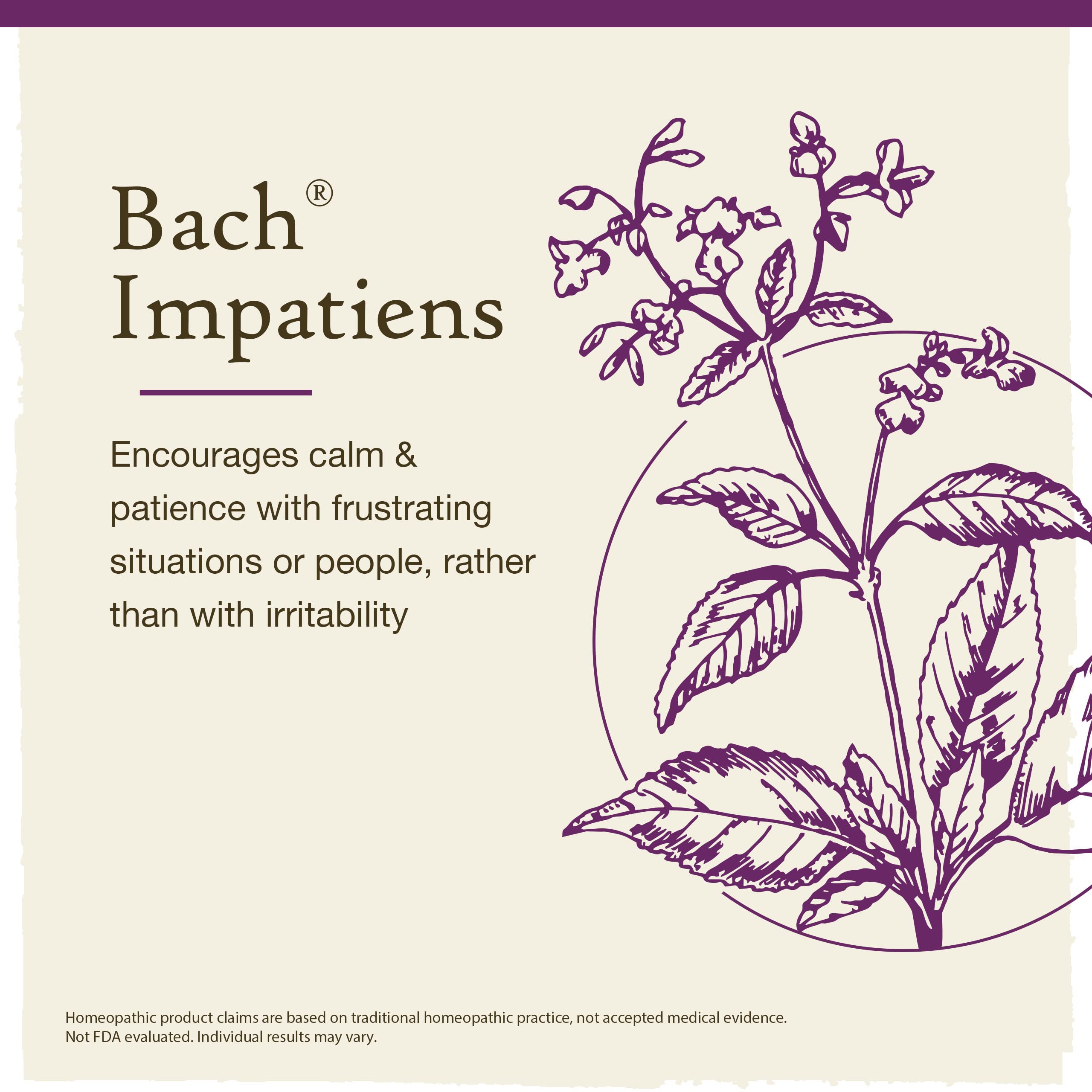Bach Original Flower Remedies, Impatiens for Patience, Natural Homeopathic Flower Essence, Holistic Wellness, Vegan, 20mL Droppe