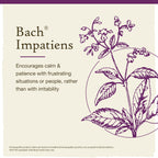 Bach Original Flower Remedies, Impatiens for Patience, Natural Homeopathic Flower Essence, Holistic Wellness, Vegan, 20mL Droppe