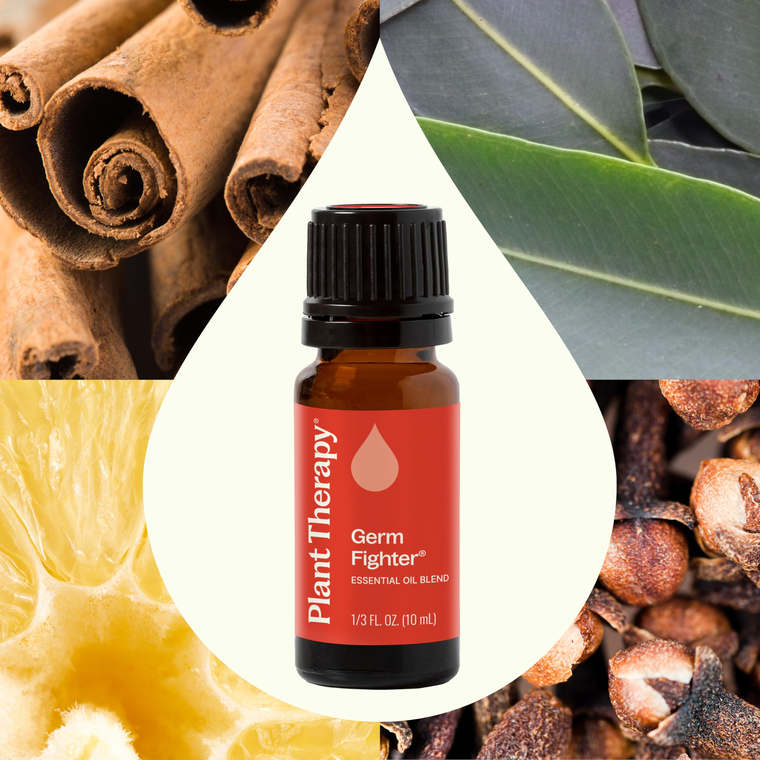 Plant Therapy Germ Fighter Essential Oil Blend Pure, Natural Aromatherapy, for Diffusion & Topical Use, DIY Multi-Surface Cleane