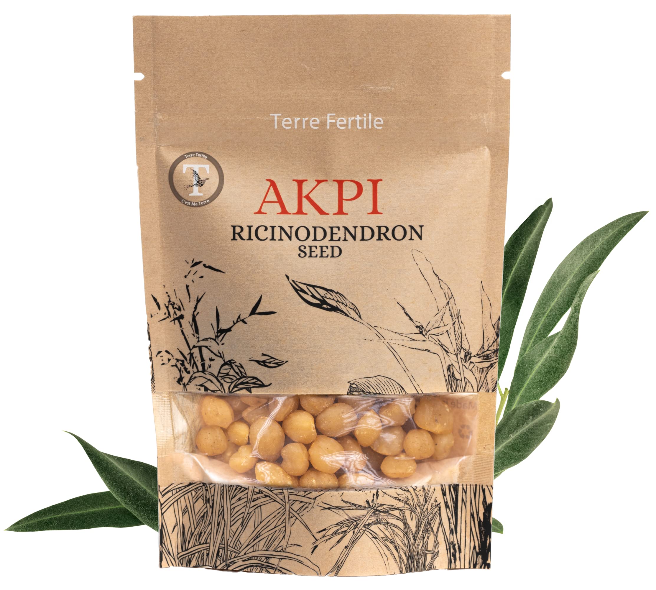 Terre Fertile - AKPI Seeds - Djansang/Jansang - 100% Natural & Organic Product - African Spice