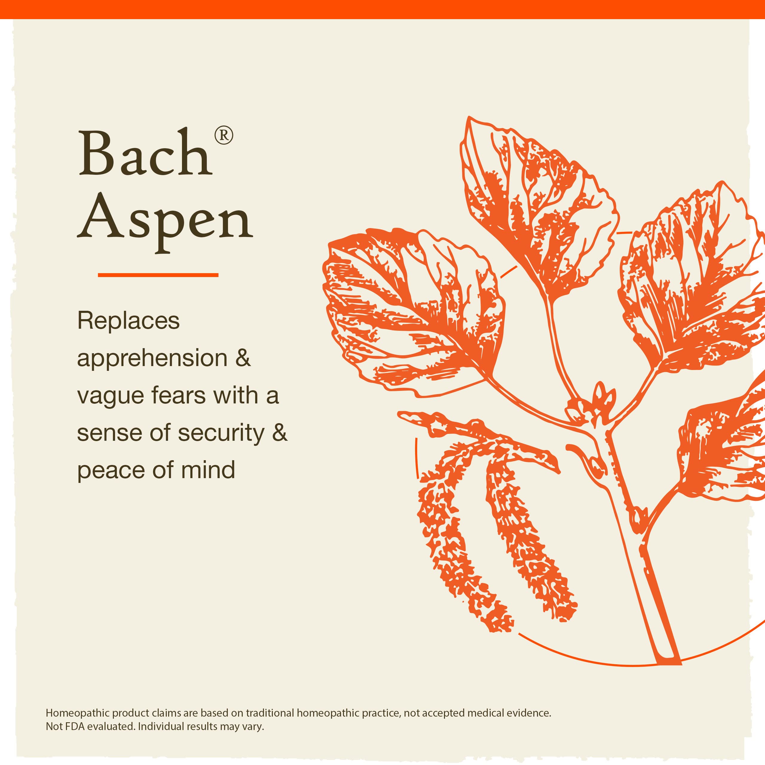 Bach Original Flower Remedies, Aspen for Apprehension and Security, Natural Homeopathic Flower Essence, Holistic Wellness, Vegan