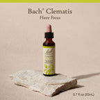Bach Original Flower Remedies, Clematis for Focus and Concentration, Natural Homeopathic Flower Essence, Holistic Wellness and S