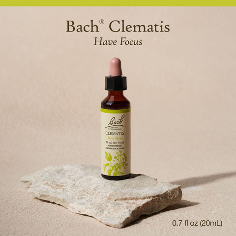Bach Original Flower Remedies, Clematis for Focus and Concentration, Natural Homeopathic Flower Essence, Holistic Wellness and S