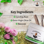 Christophers Original Formulas Comfrey Ointment, 2 Ounce - Herbal Ointment with Organic Comfrey Leaf in a Natural Beeswax and O