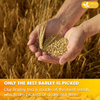 Premium Barley Tea Bags, 100% Natural & Pure from Barley. Loose Barey Herbal Tea. No Sugar, No Caffeine, No Gluten, Vegan.