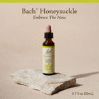 Bach Original Flower Remedies, Honeysuckle for Embracing the Now, Natural Homeopathic Flower Essence, Emotional Wellness and Str