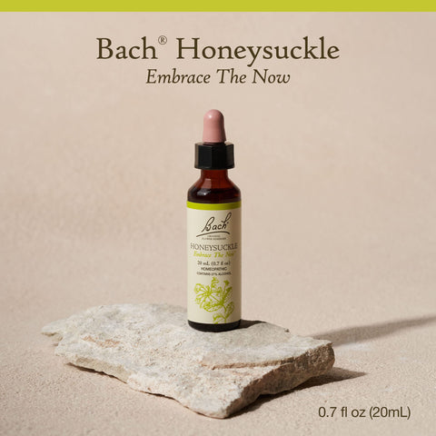 Bach Original Flower Remedies, Honeysuckle for Embracing the Now, Natural Homeopathic Flower Essence, Emotional Wellness and Str
