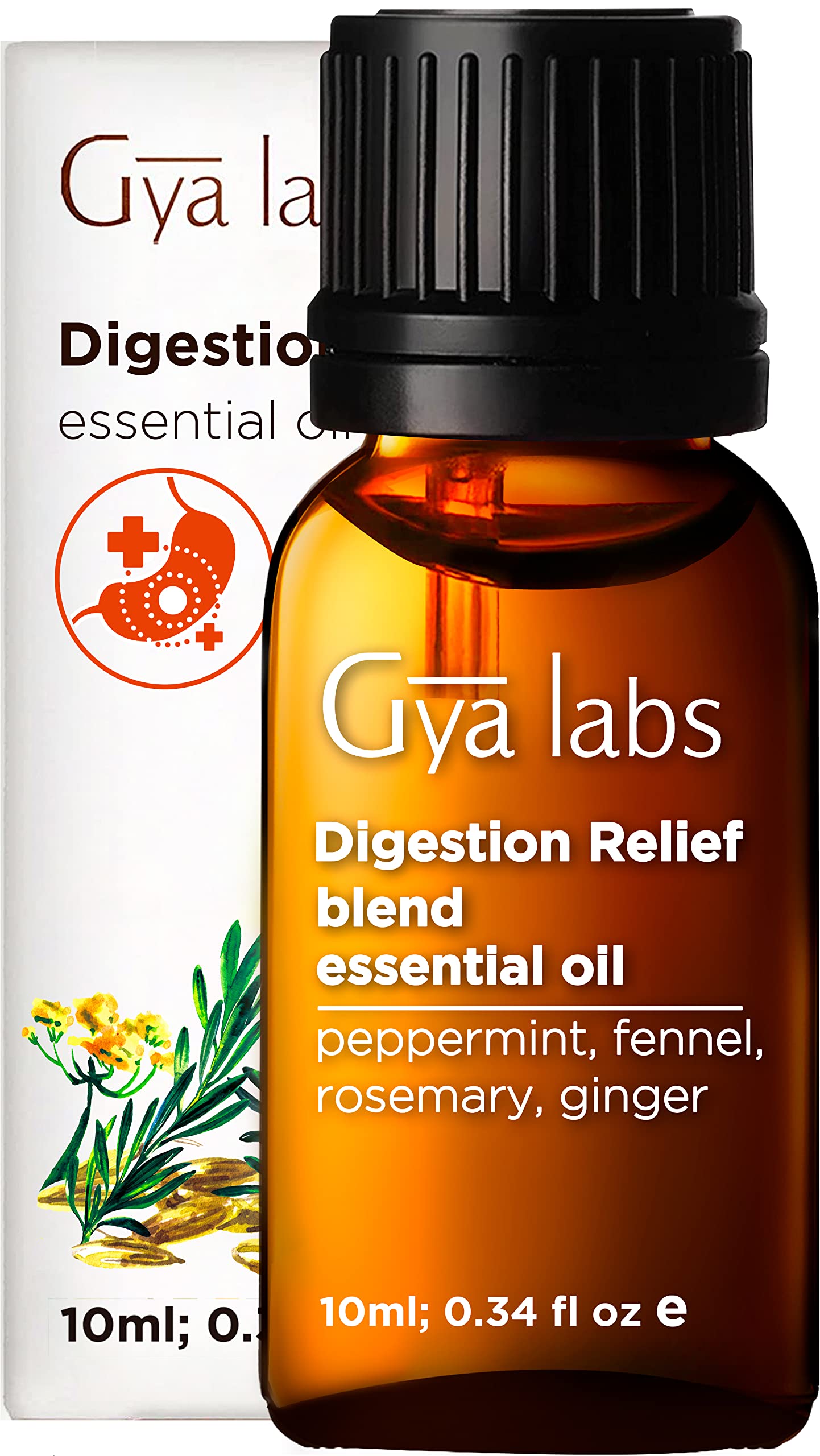 gya Labs Digestion Relief Essential Oil Blend (10ml) - Fresh & Herbaceous Scent