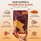 Mushroom Coffee – Premium Organic Mushroom Coffee Blend with Adaptogens for Focus, Energy & Immunity