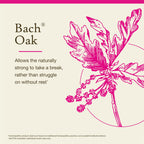 Bach Original Flower Remedies - Oak 20ml-packaging may vary