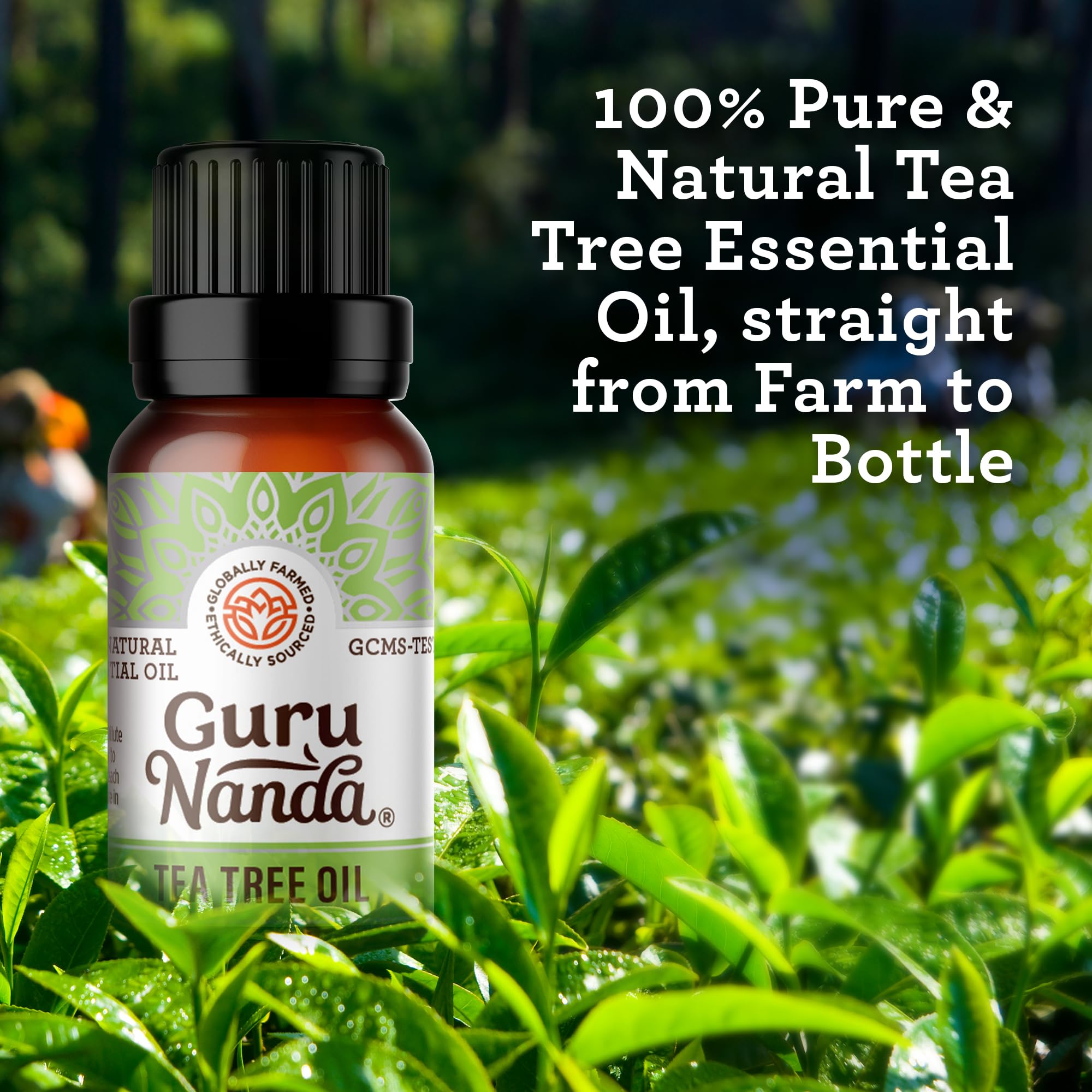 GuruNanda Tea Tree Essential Oil (2x0.5 Fl Oz) - 100% Pure, Undiluted Aromatherapy Oil for Diffusers, Massage, DIY Recipes, Help