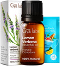 Gya Labs Lemon Verbena Essential Oil for Diffuser - 0.34 Fl Oz - 100% Pure Natural Lemon Verbena Oil for Skin, Hair, Perfume, Ba