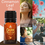 Pure Ceylon Cinnamon Leaf Essential Oil, GI Certified G2/76/340, 100% Ceylon True Cinnamon Oil, Undiluted Therapeutic Grade for