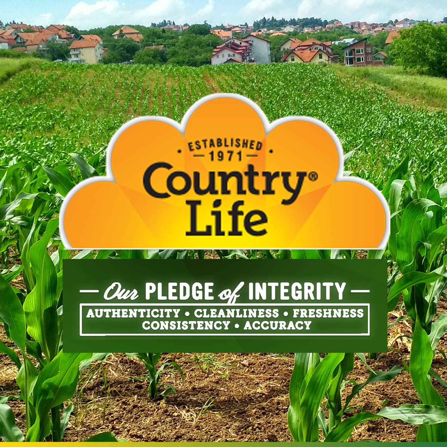 Country Life Flex-Able Advanced Capsules, 90 Count, Certified Gluten Free