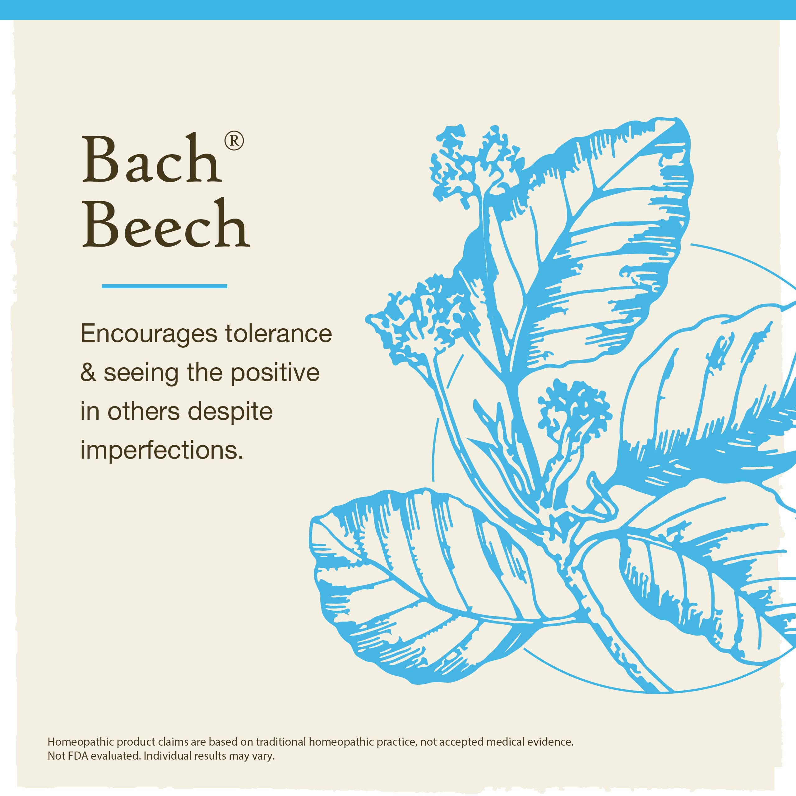 Bach Original Flower Remedies, Beech for Tolerance, Natural Homeopathic Flower Essence, Holistic Wellness and Stress Relief, Veg