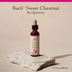 Bach Original Flower Remedies, Sweet Chestnut for Optimism, Natural Homeopathic Flower Essence, Holistic Wellness and Stress Rel