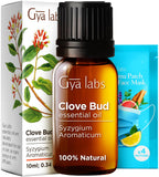 Gya Labs Clove Oil for Oral Care - 100% Natural Clove Essential Oil for Oral Care - Clove Oil for Teeth Gums Hair Skin & Candle 