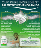 Palmitoylethanolamide 450mg Comfort Mobility Nerves Cognitive & Immune Support - Micronized High Absorption - All Natural Pea -