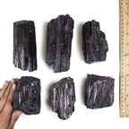 JIC Gem 2 Lb Large Black Tourmaline Crystals Stones Large Pieces Black Tourmaline Rocks Healing Crystals Bulk Raw Stones Collect