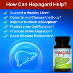 Hepagard® Natural Liver Support Supplement – 30 Vegetable Capsules