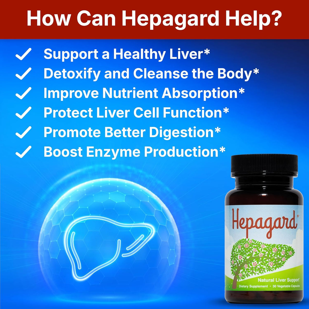 Hepagard® Natural Liver Support Supplement – 30 Vegetable Capsules