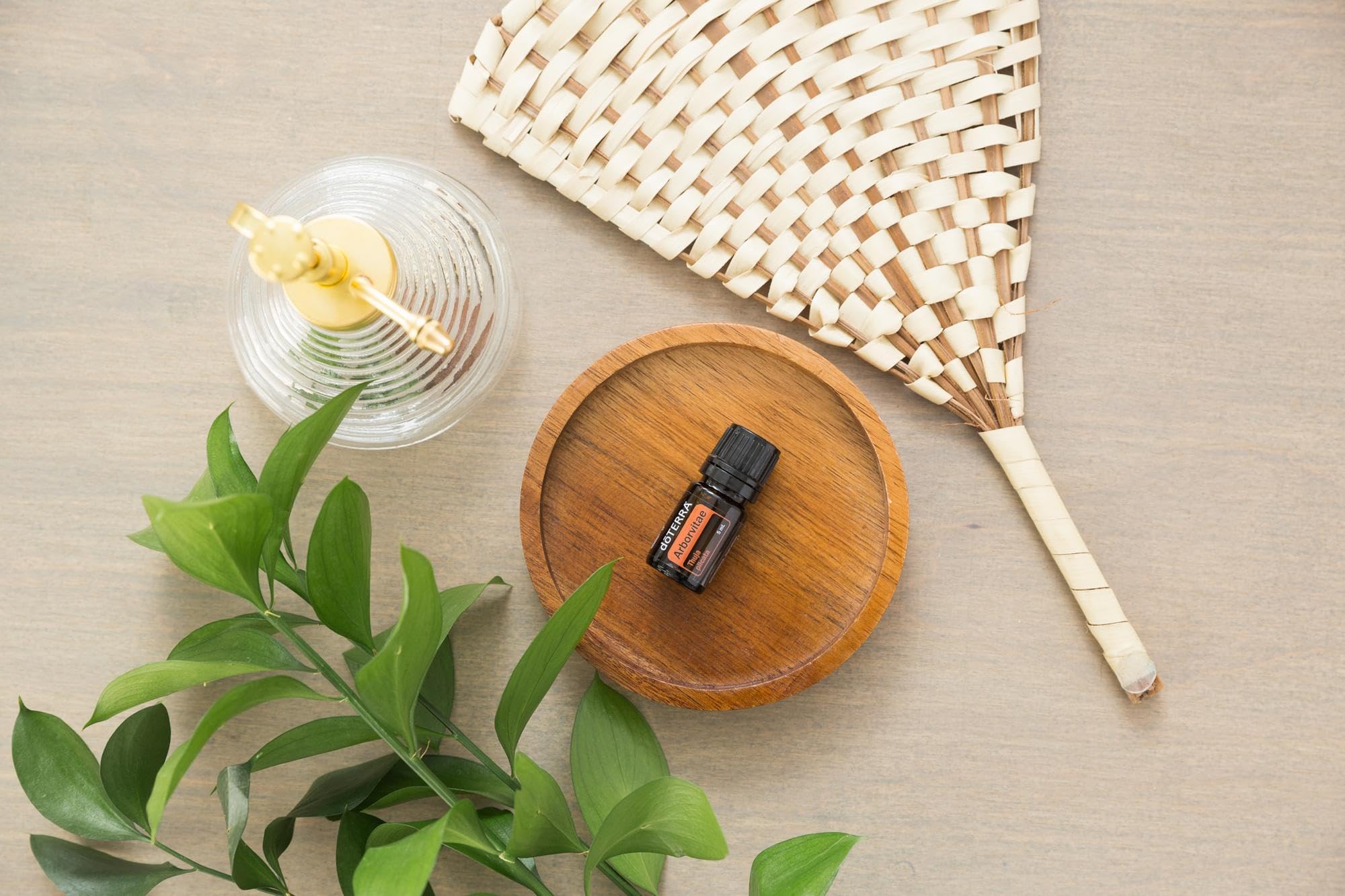 doTERRA - Arborvitae Essential Oil - 5mL