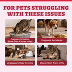Wellix 8.8oz Large Dog and Cat Urinary Supplement - Rich in Omega-3,Cranberry for Cat UTI Treatment -Urinary Tract Podwer for Bl