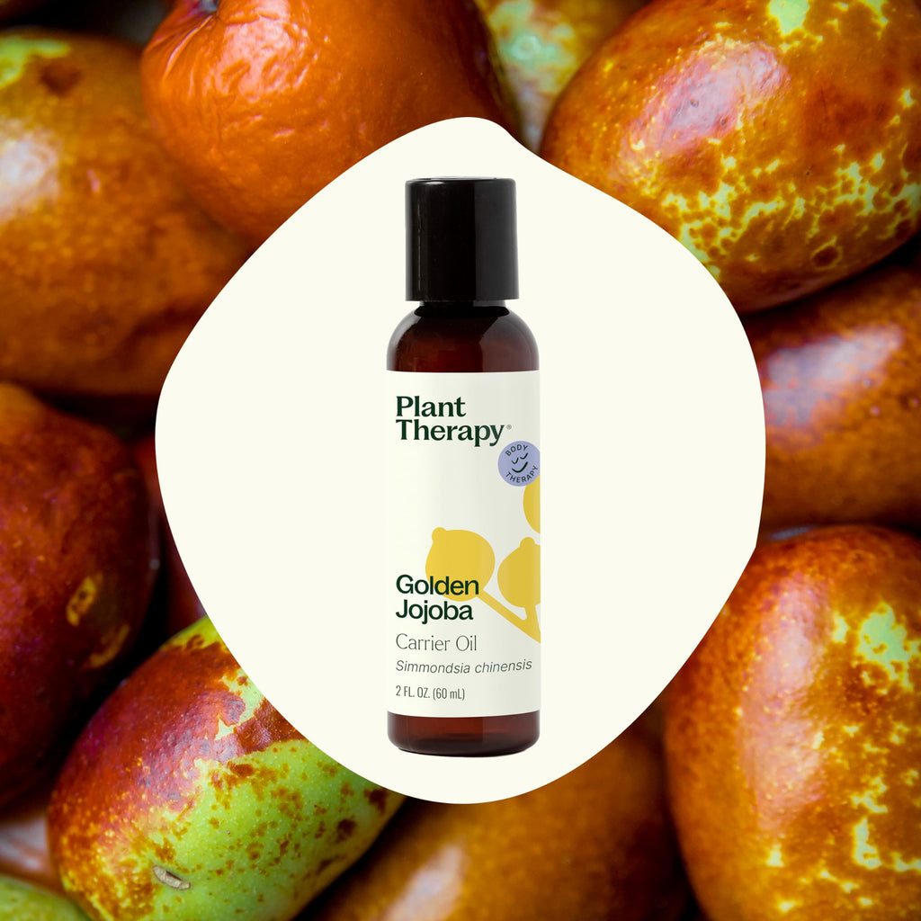 Plant Therapy Jojoba Golden Carrier Oil 2 oz 100% Pure, Cold-Pressed, Natural and GMO-Free Moisturizer and Carrier Oil for Essen