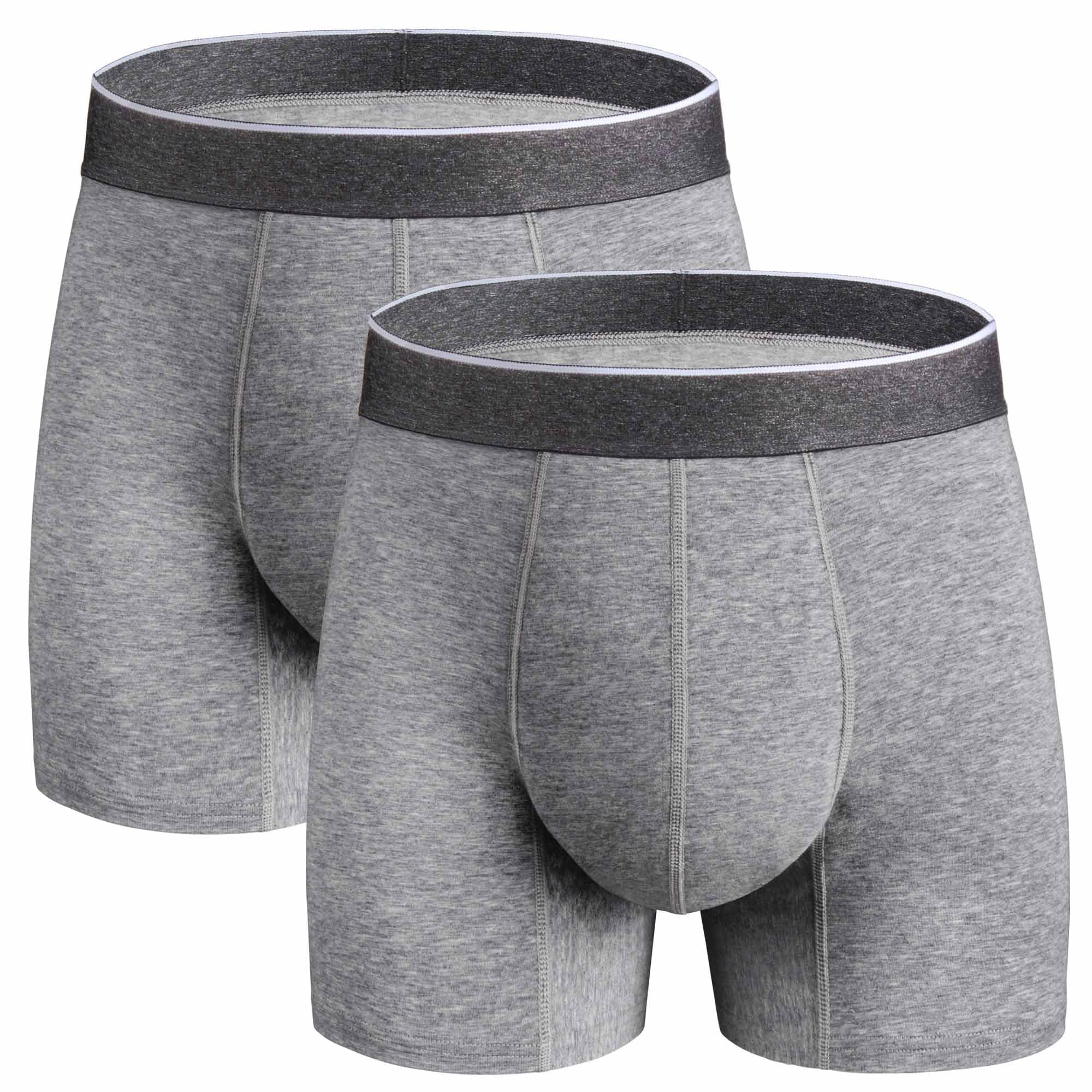 REELINDRY Washable Incontinence Underwear for Men, 2.3 oz Leak Proof Absorbent Reusable Briefs for Male Urine Leakage 2 Pack(Gra