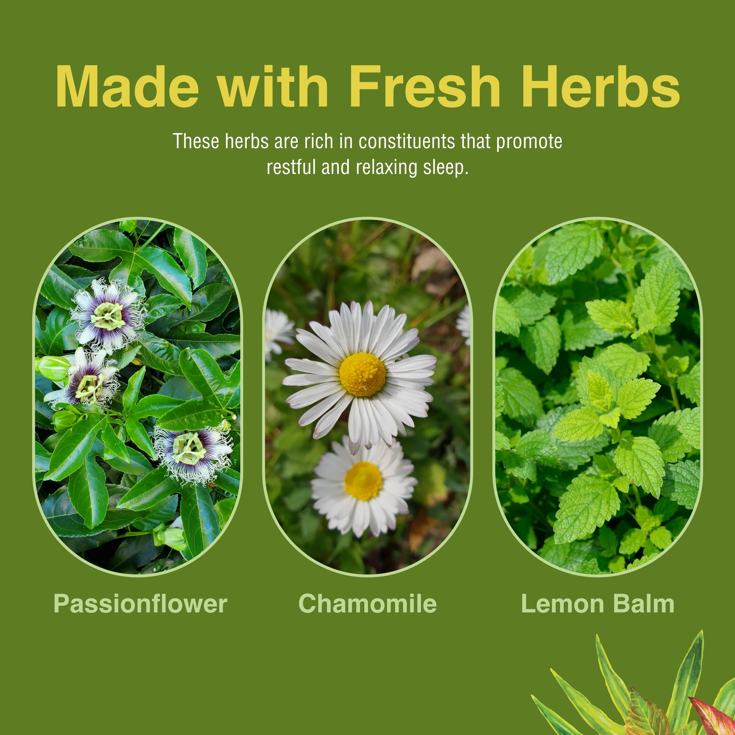Herbs Etc. Deep Sleep Softgels - Herbal Sleep Support Supplement - Rest & Calming Support with Passionflower, Chamomile & Lemon
