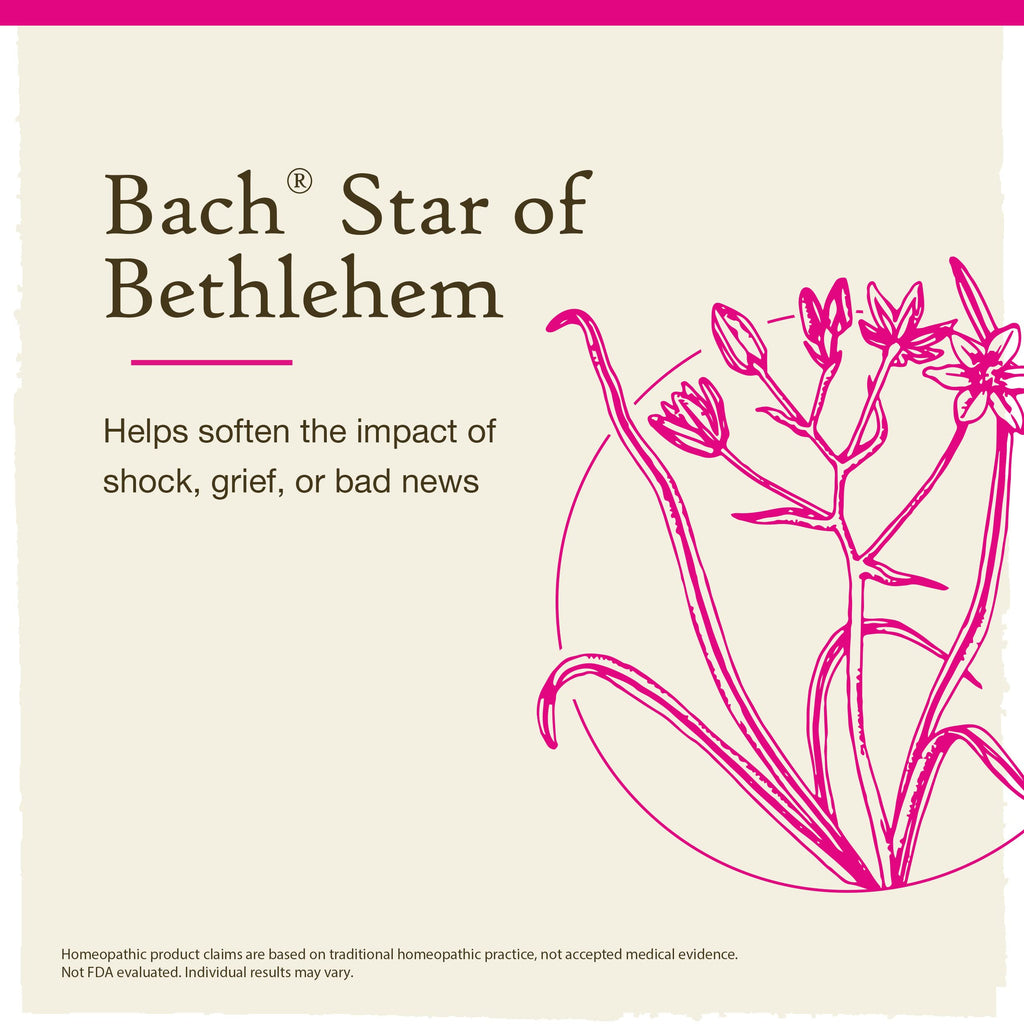Bach Original Flower Remedies, Star of Bethlehem for Grief and Shock, Natural Homeopathic Flower Essence, Holistic Wellness, Veg