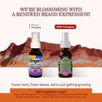 Herbs Etc. Singers Saving Grace Professional Strength Non-Alcohol Spray - Herbal Support for Soothing Throat - Throat Comfort S