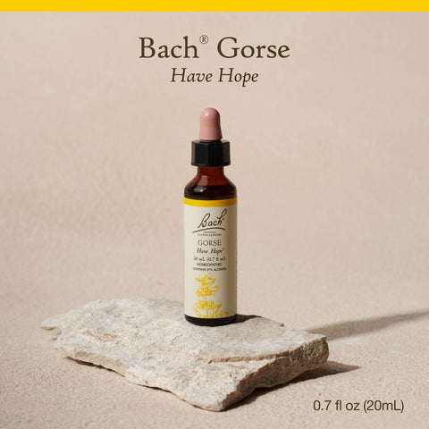Bach Original Flower Remedies, Gorse for Hope, Natural Homeopathic Flower Essence, Holistic Wellness and Stress Relief, Vegan, 2