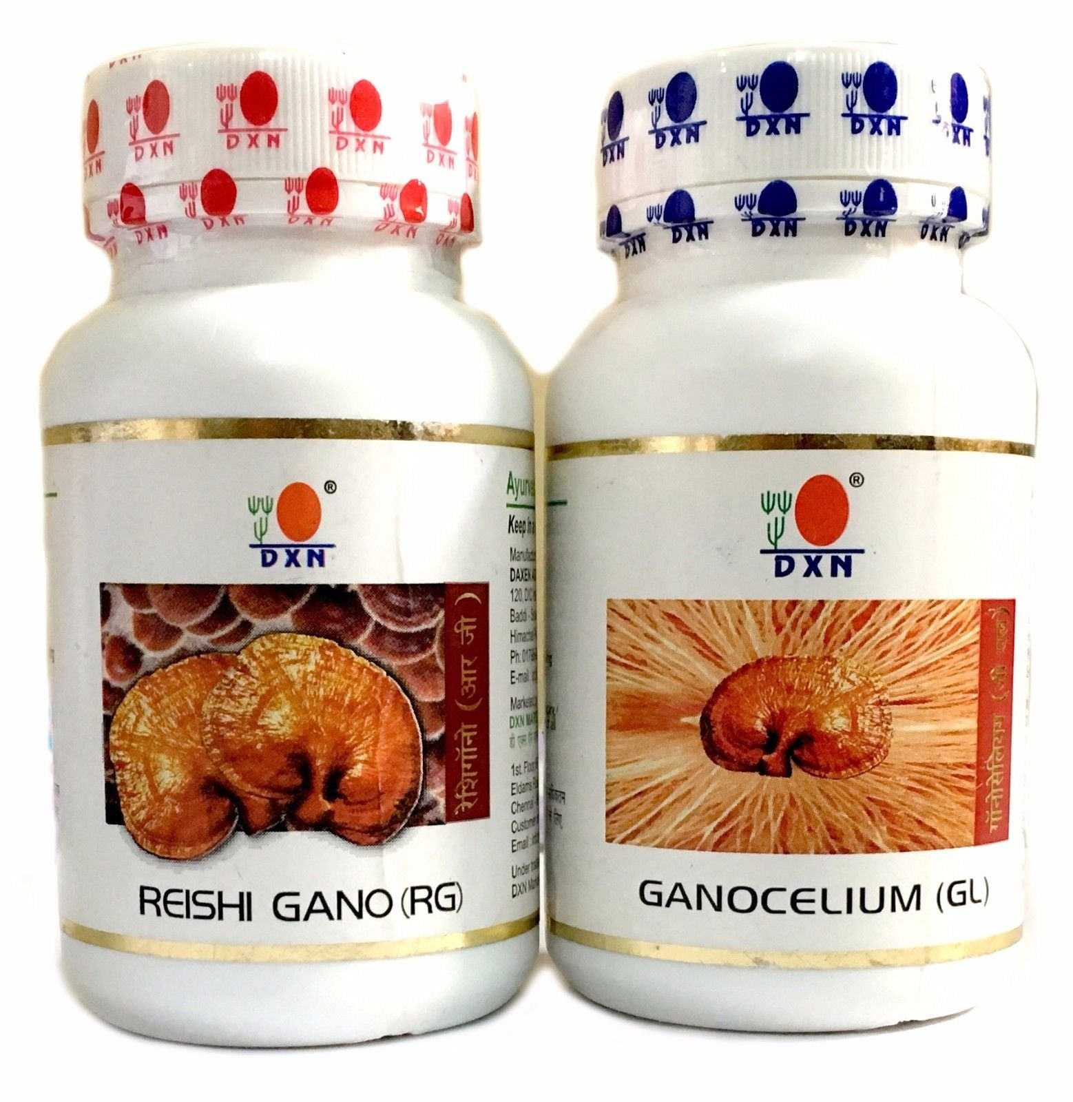 Dxn Reishi Ganoderma And Ganocelium Capsules, Fruit And Root, Rg And Gl (90 + 90 Capsules)