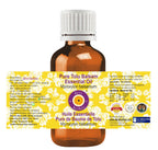 Deve Herbes Pure Tolu Balsam Essential Oil (Myroxylon balsamum) 100% Steam Distilled 15ml (0.50 oz)