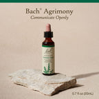 Bach Original Flower Remedies, Agrimony for Open Communication, Natural Homeopathic Flower Essence, Holistic Wellness and Stress