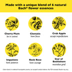 Bach RESCUE Cream, Hydrating Skincare for Hands, Body and Face, Shea Butter, Homeopathic Stress Relief Flower Essences, Fragranc