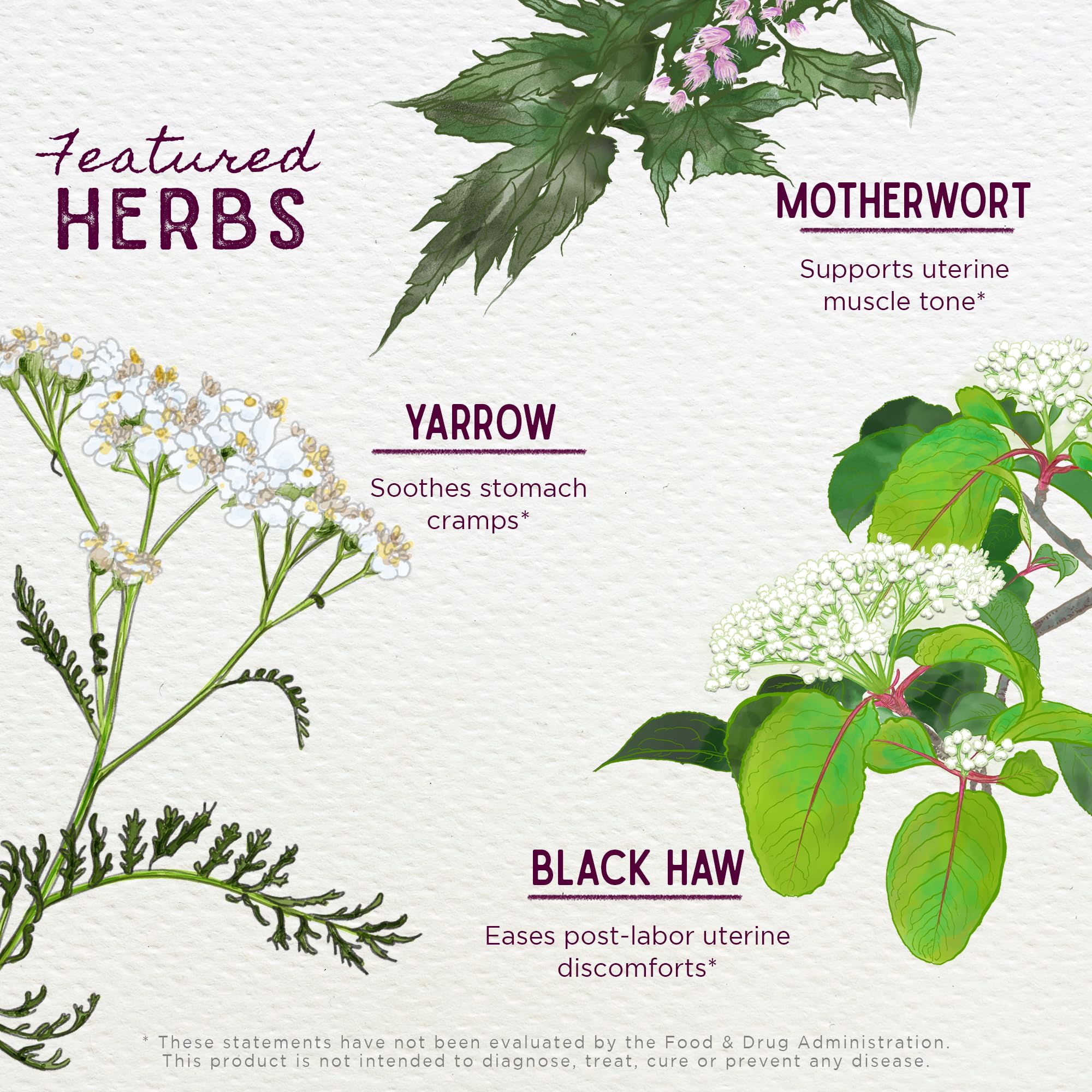WishGarden Herbs AfterEase for After Birth Contractions - All-Natural Herbal Supplement with Cramp Bark & Black Haw Bark Soothes