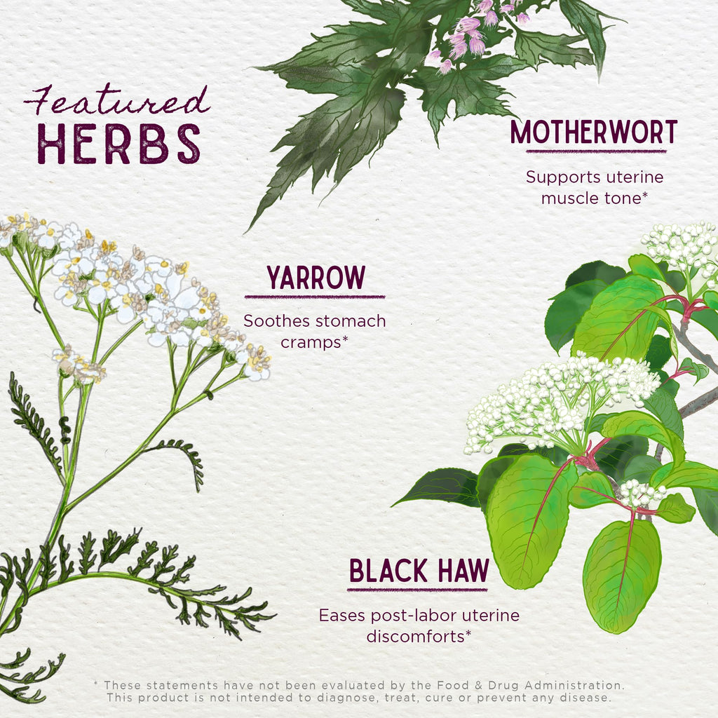 WishGarden Herbs AfterEase for After Birth Contractions - All-Natural Herbal Supplement with Cramp Bark & Black Haw Bark Soothes