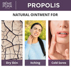 BenePura Propolis Ointment - Natural Anti Itch Cream with 30% Propolis - Itch Relief for Humans, Rash Cream - Multipurpose Moist