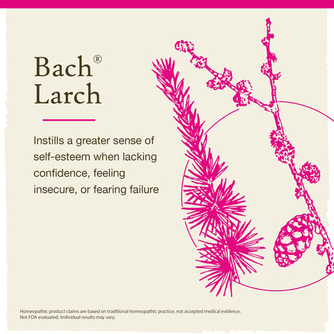 Bach Original Flower Remedies, Larch (Non-Alcohol Formula) - Have Confidence - Natural Homeopathic Flower Essence for Emotional 