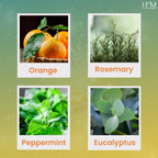 HM Home Essential Oil Kit - 4 Pack (Clove, Peppermint, Tea Tree, Orange) | Aromatic Blends for Relaxation, Refreshing Home Scent
