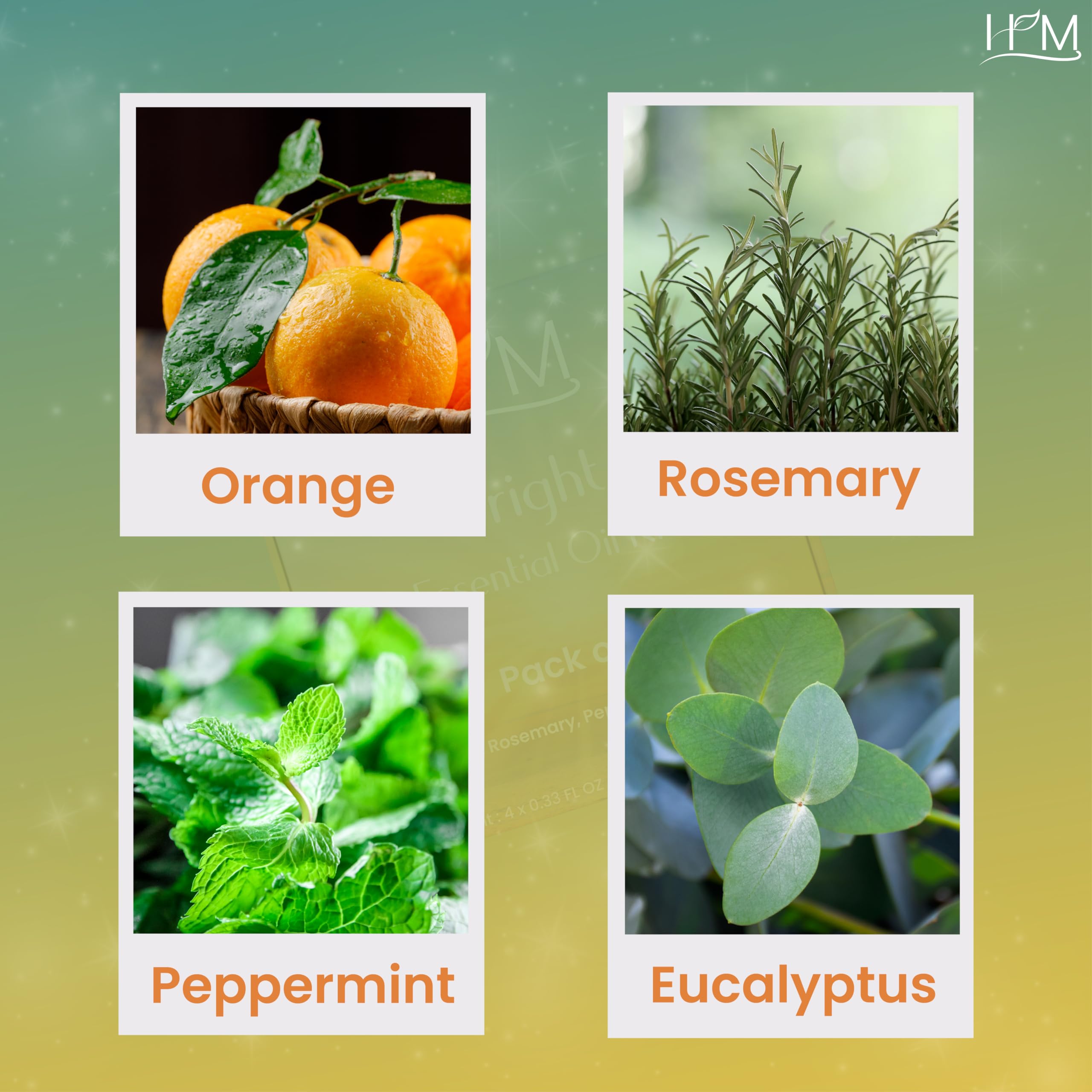 HM Home Essential Oil Kit - 4 Pack (Clove, Peppermint, Tea Tree, Orange) | Aromatic Blends for Relaxation, Refreshing Home Scent